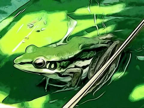 The Cute Green Frog. Stock Photos
