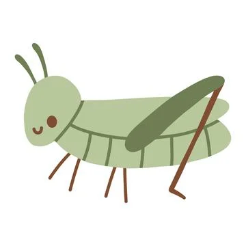 Cute green grasshopper character vector illustration with long legs. Cute Stock Illustration