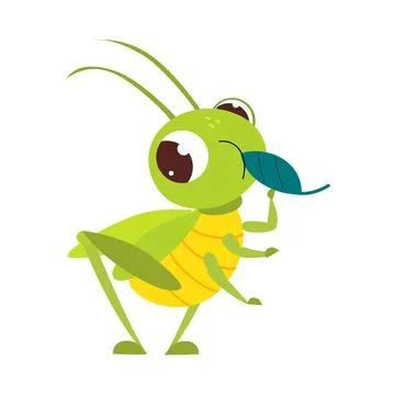 Cute green grasshopper eating leaf. Funny insect in its everyday activities Stock Illustration