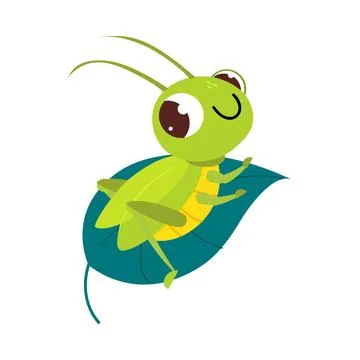 Cute green grasshopper sitting on leaf. Funny insect in its everyday activities Stock Illustration