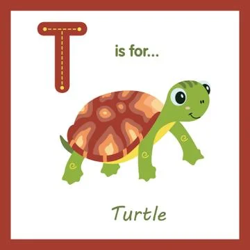 Cute green turtle with brown shell - children alphabet letter Stock Illustration