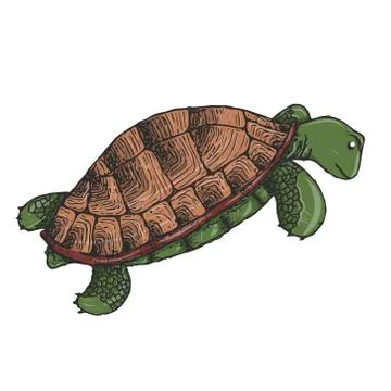 Cute green waving turtle Stock Illustration