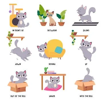 Cute Grey Cat Demonstrating Prepositions with Different Object Vector Set Stock Illustration