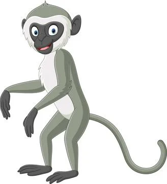 Cute grey langur monkey cartoon Stock Illustration
