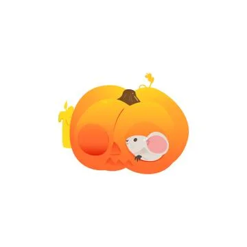 Cute grey mouse inside orange pumpkin isolated on white background Stock Illustration