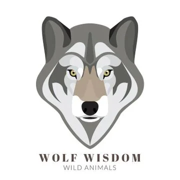 Cute grey wolf Illustrazione stock