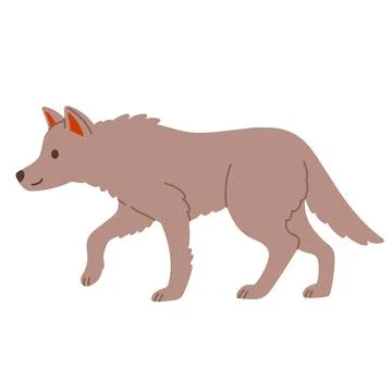 Cute grey wolf walking vector illustration. Flat design woodland predator Stock Illustration