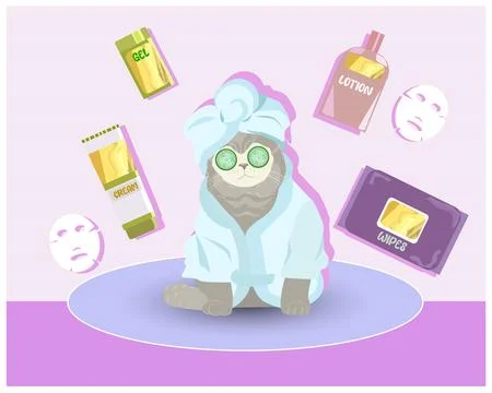 Cute grooming kit, jars of tissues for the daily routine. Cute cat in a fac.. Stock Illustration