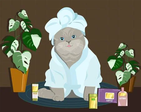 Cute grooming kit, jars of tissues for the daily routine. Cute cat in robe... Illustrazione stock