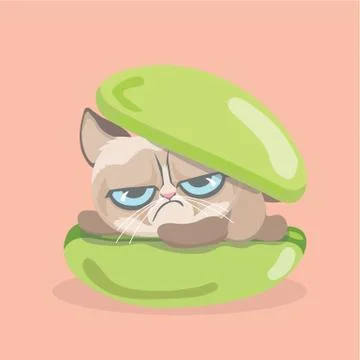 A Cute grumpy cat with dessert. Stock Illustration
