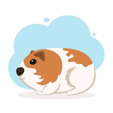 Cute Guinea Pig Stock Illustration
