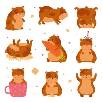 Cute hamster in everyday activities set. Funny brown pet rodent eating, sleeping Stock Illustration