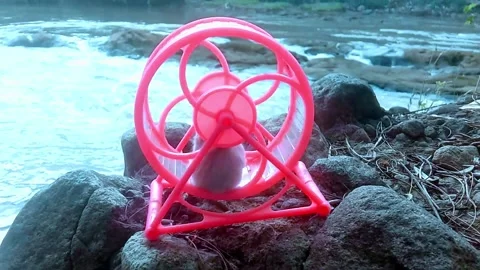 Cute Hamster 스톡 동영상 209171863