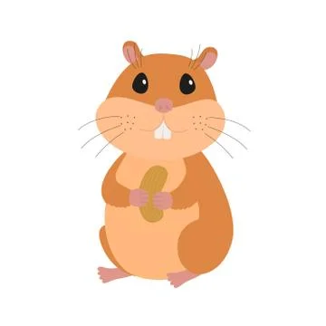 Cute hamster with a nut Stock Illustration
