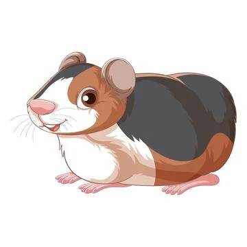 Cute hamster sitting and looking sideways on white background Ilustração Stock