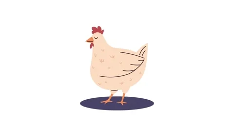 Cute hand drawn animation of white hen standing isolated on white backgroun.. 库存影片 339086366