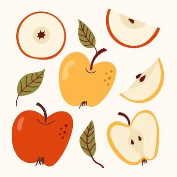 Cute Hand Drawn Apple Collection with Whole Fruits Slices and Green Leaves Stock Illustration