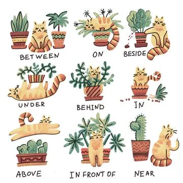 Cute hand drawn cat character in different poses with plant pot. Prepositions Stock Illustration
