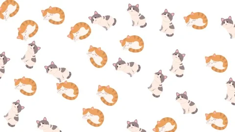 Cute Hand Drawn Cat Pattern with Sleeping and Sitting Kittens on White Stock-Footage 345539248