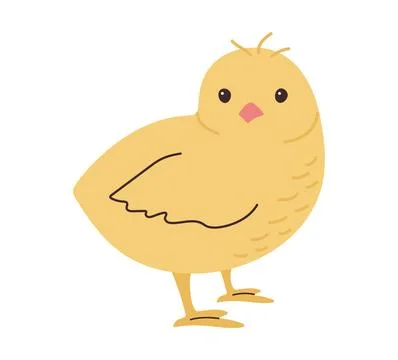 Cute hand drawn Chick isolated on white background. Simple illustration of li Stock Illustration