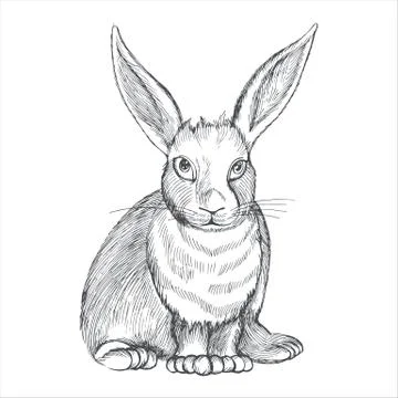 Cute hand drawn easter bunny. Monochrome sketch vector illustration isolated  Stockillustratie