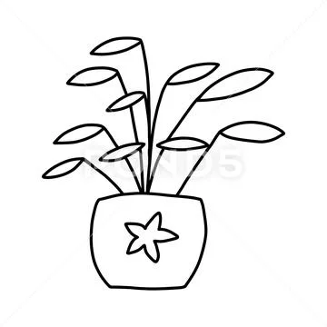 Hand drawn daisy doodle style Royalty Free Vector Image