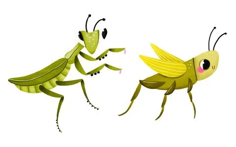 Cute hand-drawn green praying mantis and grasshopper set. Perfect for nurse.. Stock Illustration