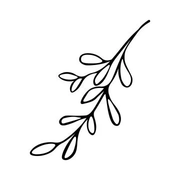 Cute hand drawn herbal elements close up. Doodle, black and white vector illu イラスト素材