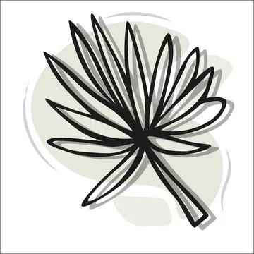 Cute hand drawn herbal elements. Decorative holly close-up on a white backgro イラスト素材