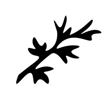 Cute hand drawn herbal elements. Decorative, botanical plant. Doodle for soci イラスト素材