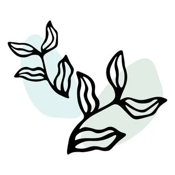 Cute hand drawn herbal elements. Decorative and botanical plants. Scribble. B Stock Illustration