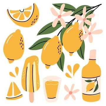 Cute Hand Drawn Lemon Collection with Citrus Juice Popsicle and Flowers Stock Illustration
