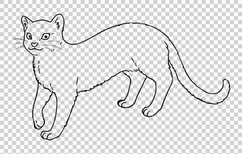 Cute hand drawn line art illustration of Jaguarundi Stock Illustration