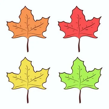 Cute hand drawn maple leaves set Stock Illustration