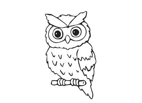Cute Hand Drawn Owl Bird Sitting on Branch with Big Eyes Line Art Doodle Il.. Stock Illustration