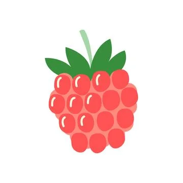 Cute hand drawn raspberry vector illustration on white background Stock Illustration