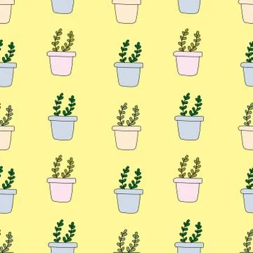 Cute hand drawn simple leafy plant in pots with a beautiful background. Stock Illustration