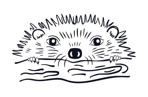 Cute hand drawn sketch of a little hedgehog peeking over a log Ilustração Stock