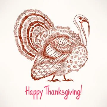 Cute hand drawn turkey Ilustración de archivo