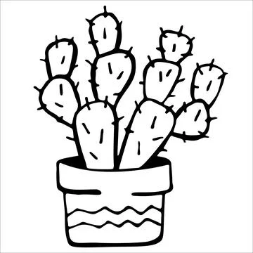 Cute hand drawn vector cactuse in the pot Stock Illustration