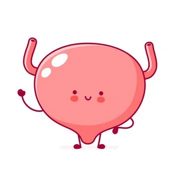 Cute happy funny human bladder organ character. Vector flat line cartoon kawaii Stock Illustration
