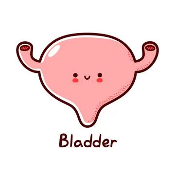 Cute happy funny human bladder organ character. Vector flat line cartoon kawaii Stock Illustration