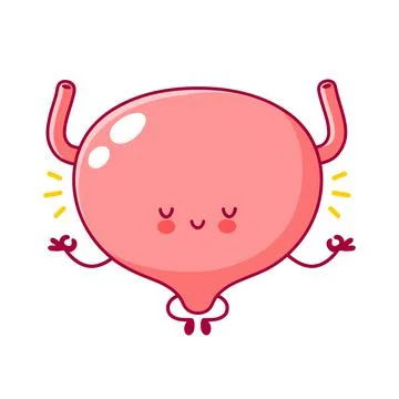 Cute happy funny human bladder organ character meditate. Vector flat line Stock Illustration