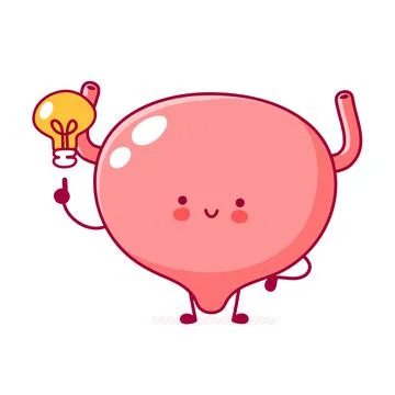 Cute happy funny human bladder organ character with idea bulb. Vector flat line Stock Illustration