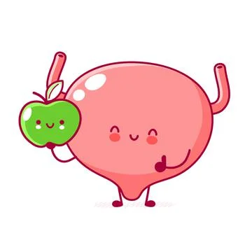 Cute happy funny human bladder organ with apple character. Vector flat line Stock Illustration
