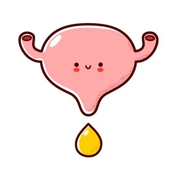 Cute happy funny human bladder organ character with urine drop. Vector flat line Stock Illustration