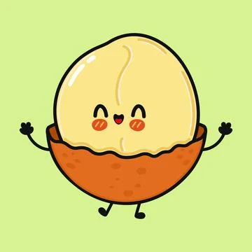 Cute happy macadamia nut character smiling and greeting Stock Illustration