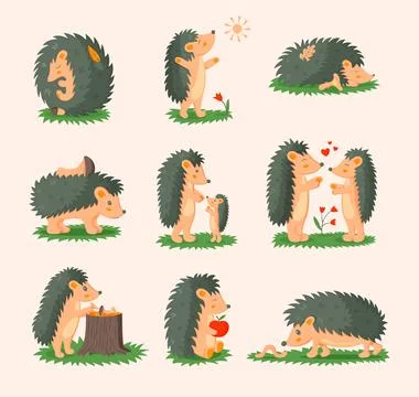 Cute hedgehog set. Forest animals in different poses, playing and lying, mo.. Stock Illustration