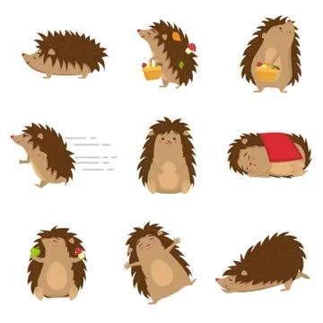 Cute hedgehogs in different poses set isolated on white background Stock Illustration