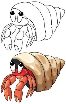Cute Hermit Crab Vector Illustration in Color and Line Art Stock Illustration